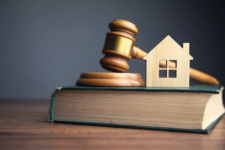 The Law Offices of Odelia Goldberg